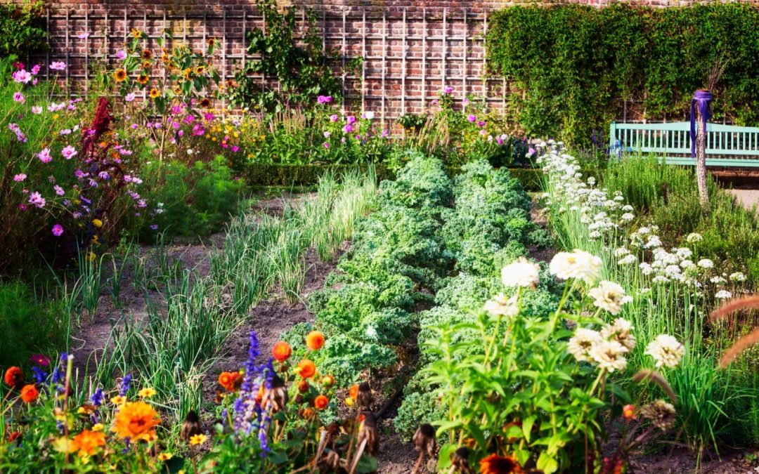 Uređenje vrta, bašte, dvorišta: planiranje i zasad